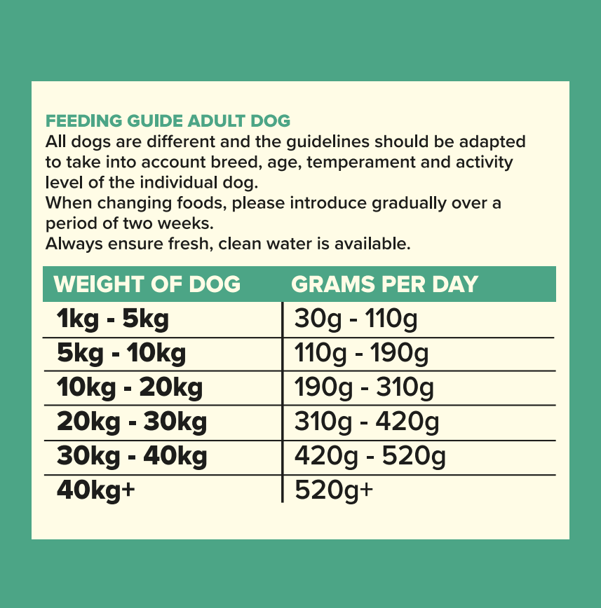 Seven Adult Lamb, Sweet Potato & Mint 2kg