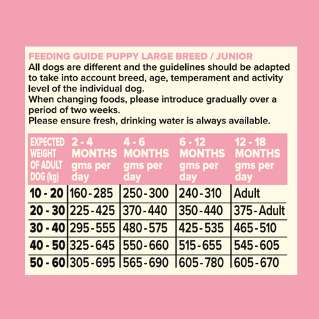 Seven Puppy Large Breed Salmon with Sweet Potato & Vegetable 12kg